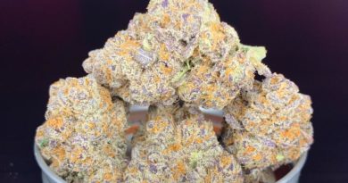 electric grape vine by trichome farms strain review by pnw_chronic 2