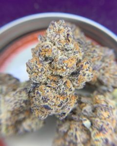 electric grape vine by trichome farms strain review by pnw_chronic