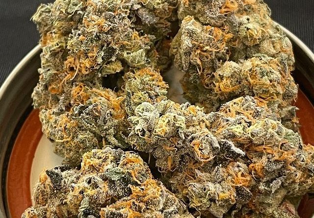 gary payton from jews who infuse by undisclosed strain review by toptierterpsma 2