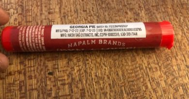 georgia pie dynamite stick by napalm brands preroll review by caleb chen