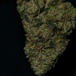 ghost og by greasy couture strain review by feartheterps 2