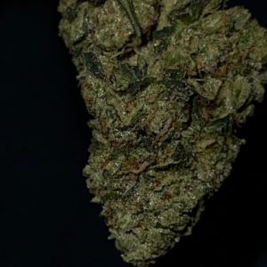 Ghost Train Haze Strain - CBD Bible UK