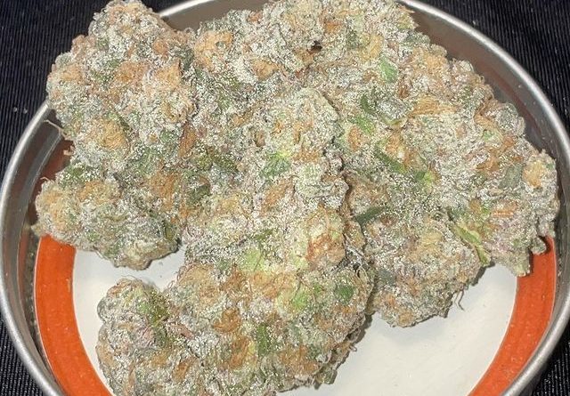 gush mints by pax genetics strain review by toptierterpsma