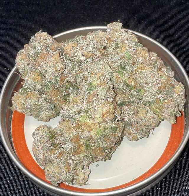 Cultivar Review Gush Mints by Pax The Highest Critic