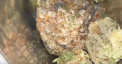 gypsy soap from watt you puffin strain review by pressurereviews