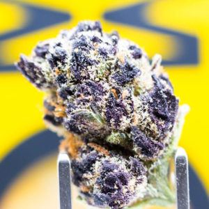 highside by mary mary closeup strain review by caleb chen