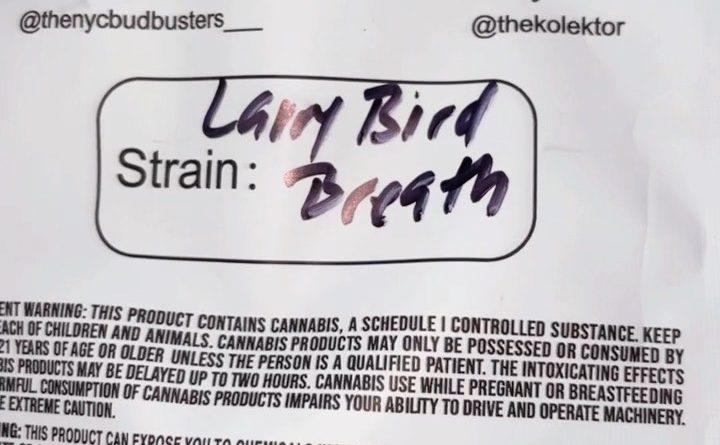 larry bird breath by nyc bud busters x the kolektors strain review by letmeseewhatusmokin