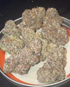 lemon cherry z from bad larry buds strain review by toptierterpsma