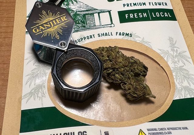 marshmallow og by amp farms strain review by justin_the_ganjier