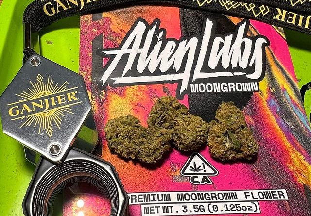 moongrown area 41 by alien labs strain review by justin_the_ganjier
