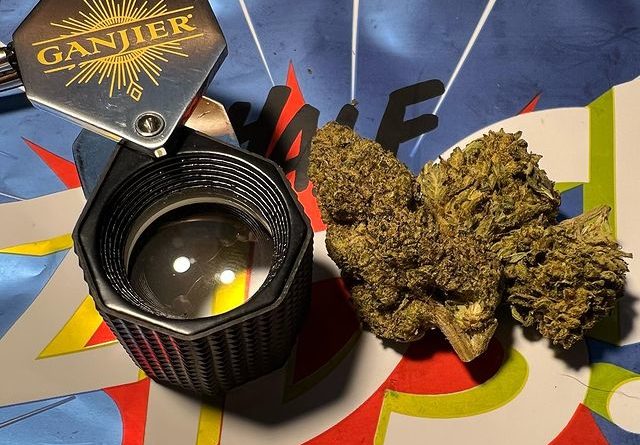 northern lights by zips strain review by justin_the_ganjier