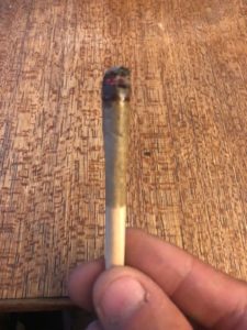 piggy bank preroll by seven leaves review by caleb chen 2