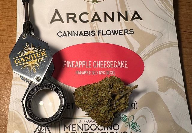 pineapple cheesecake by arcanna flowers strain review by justin_the_ganjier