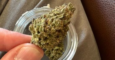 pineapple trainwreck by shades of jade strain review by justin_the_ganjier