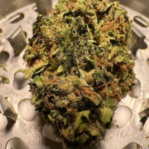 road kill skunk by sierra living organics strain review by justin_the_ganjier 2