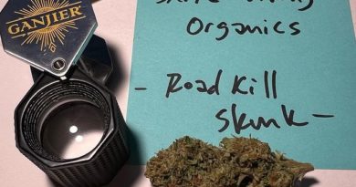 road kill skunk by sierra living organics strain review by justin_the_ganjier