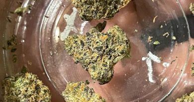 rs11 by super dope strain review by feartheterps