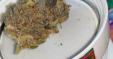 smarties by 710 labs strain review by DOPAMINE 2
