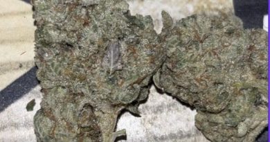 sour cookies by watt you puffin strain review by pressurereviews