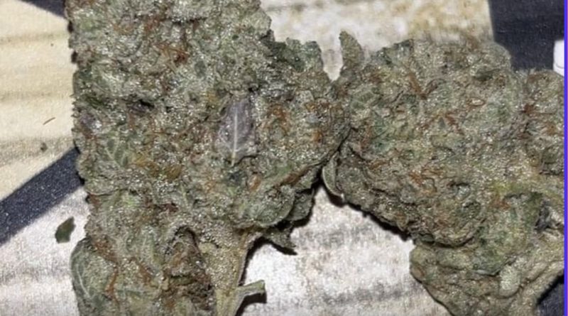 sour cookies by watt you puffin strain review by pressurereviews