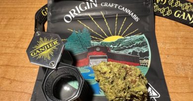 sour tangie by origin craft cannabis strain review by justin_the_ganjier