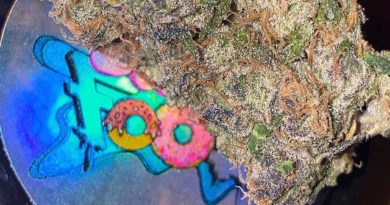 sudz by junk food cultiva strain review by dopamine 2