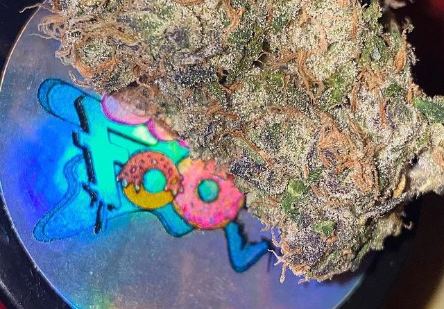 sudz by junk food cultiva strain review by dopamine 2