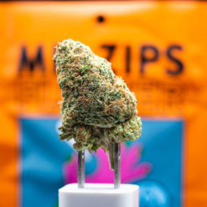 sunshine punch by mr. zips strain review by caleb chen