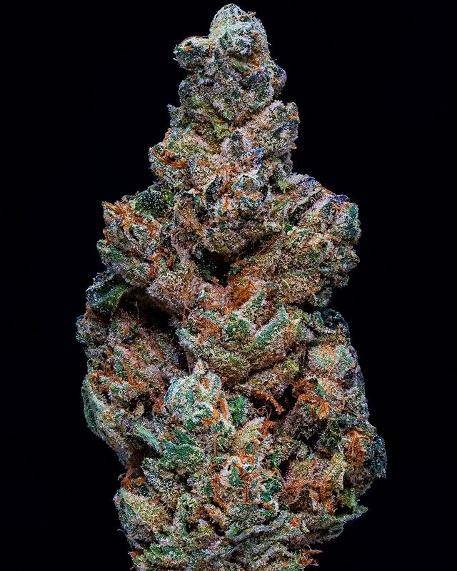 Strain Review: 8 Inch Bagel by Grey Man Genetics - The Highest Critic