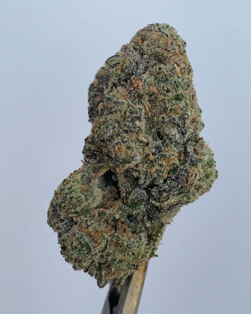 banana jealousy by high season strain review by wl_official619 2