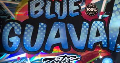 blue guava by zatix strain review by caleb chen