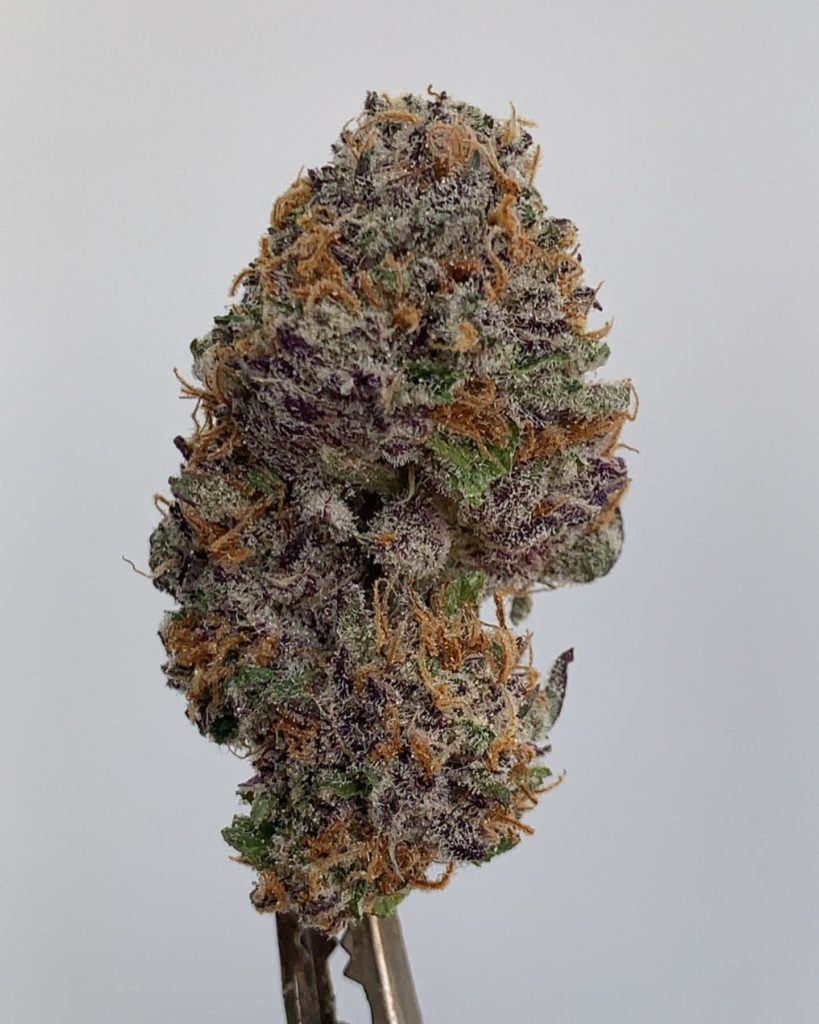 butterfingers by fig farms strain review by wl_official619 2