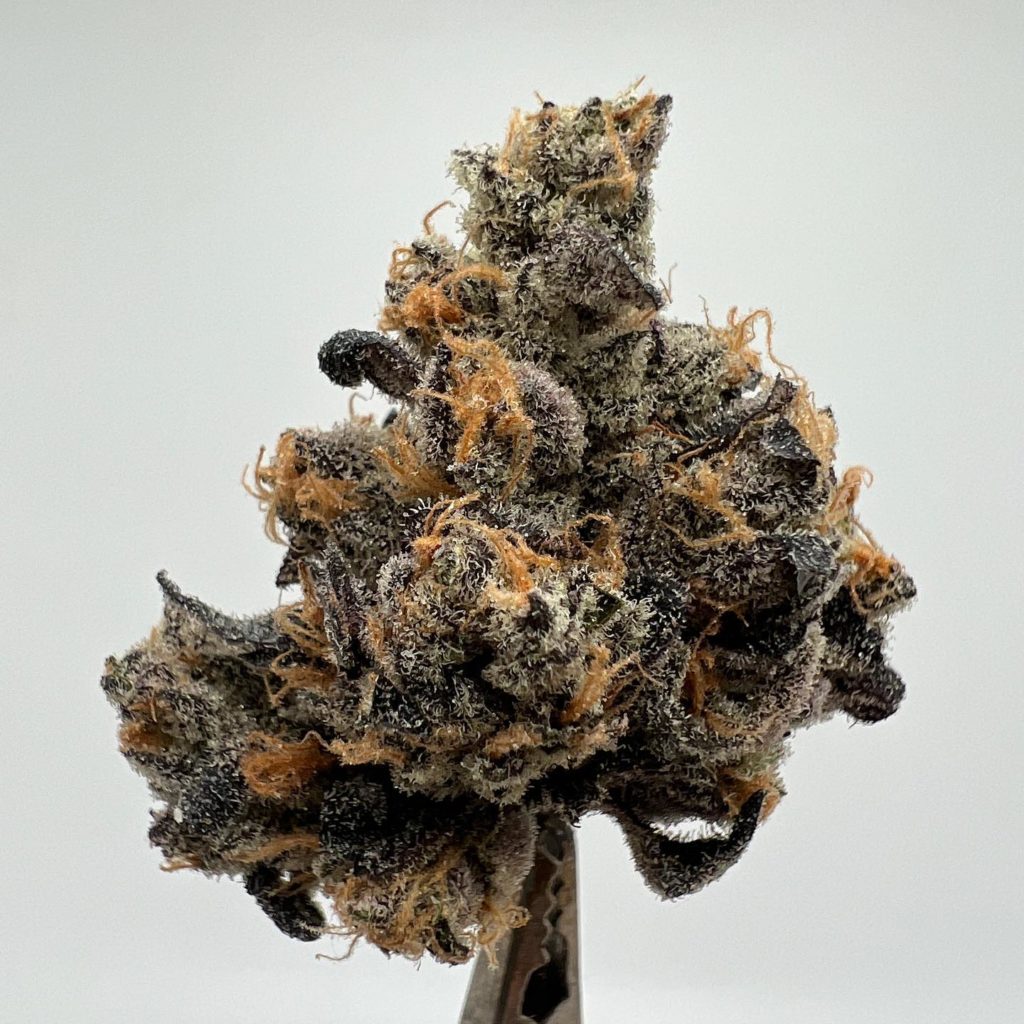 california black roze #2 by 710 labs strain review by wl_official619