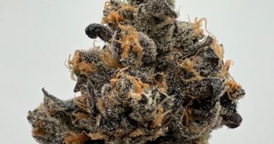 california black roze #2 by 710 labs strain review by wl_official619