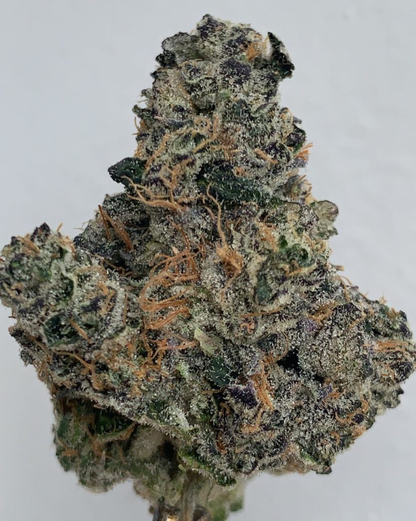 city drifter by fig farms strain review by wl_official619 2