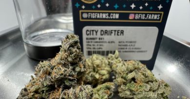 city drifter by fig farms strain review by wl_official619