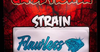 flawless by mrox420 strain review by thebudstudio
