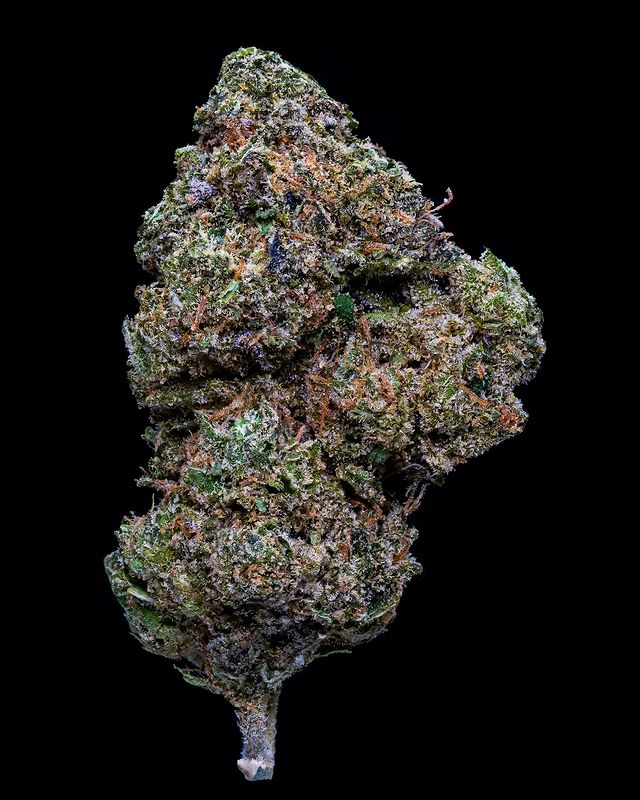 gas pedal by the grow room strain review by thebudstudio 2