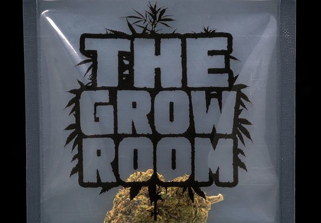 gas pedal by the grow room strain review by thebudstudio