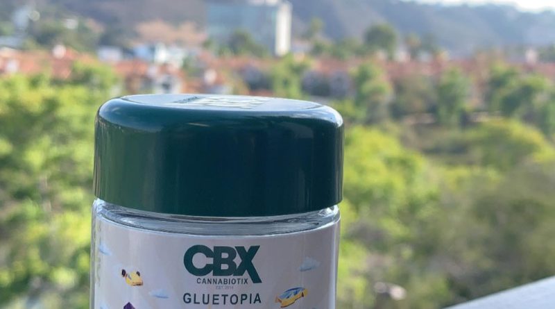 gluetopia by cannabiotix strain review by wl_official619