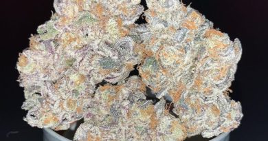 goofiez by eugreen farms strain review by pnw_chronic