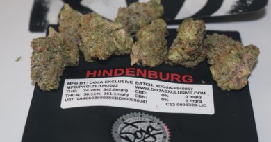 hindenburg by doja exclusive strain review by biscaynebaybudz 2