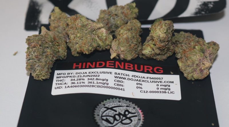 hindenburg by doja exclusive strain review by biscaynebaybudz 2