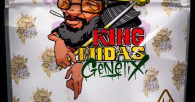 jungle fire #2 by king midas genetix strain review by thebudstudio