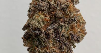 mac1 by fox's farm strain review by wl_official619