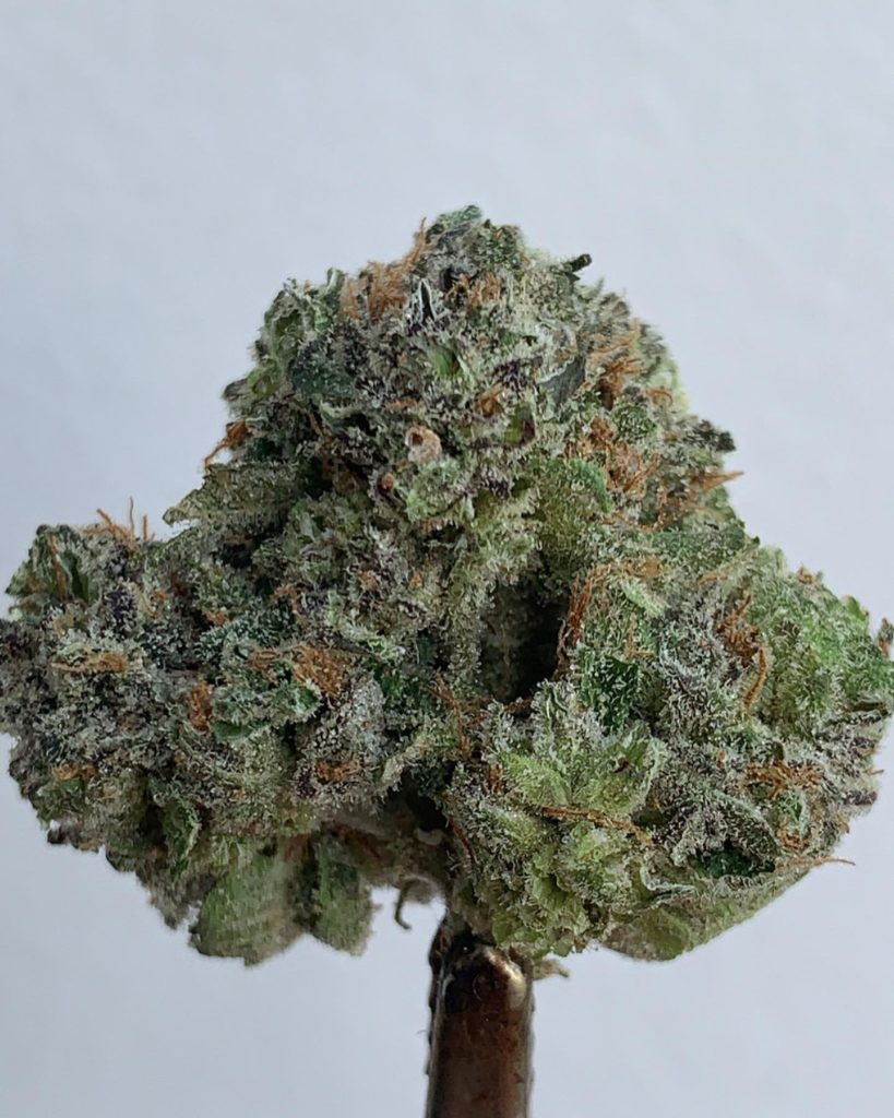 maracuya by green dawg cultivators strain review by wl_official619