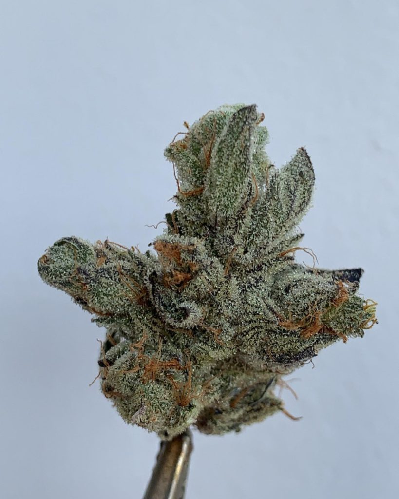 marshmallow og by 710 labs strain review by wl_official619