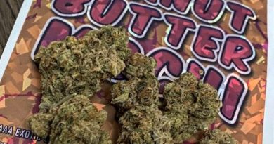 peanut butter mochi by synergy cannabis strain review by scubasteveoc
