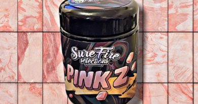 pink z by very special resin x surefire selections strain review by feartheterps
