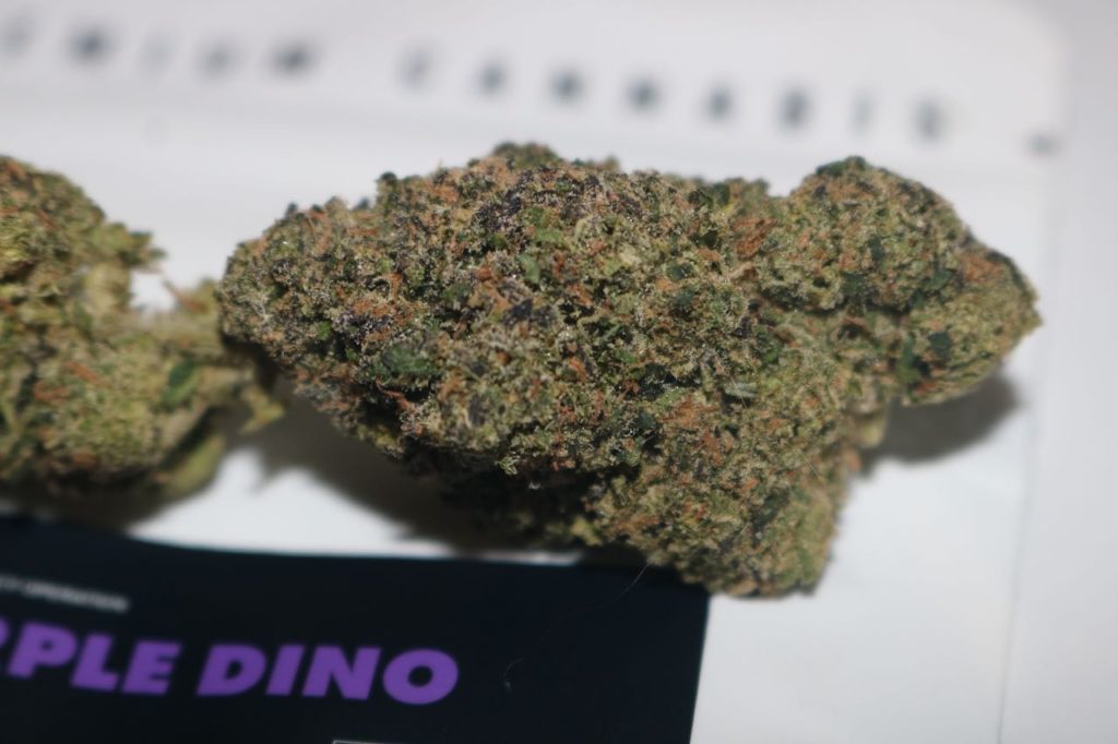 purple dino by doja exclusive x blueprint strain review by biscaynebaybudz 2